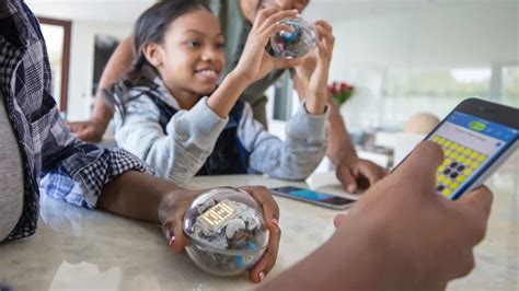 Programmable Robot 的图像结果