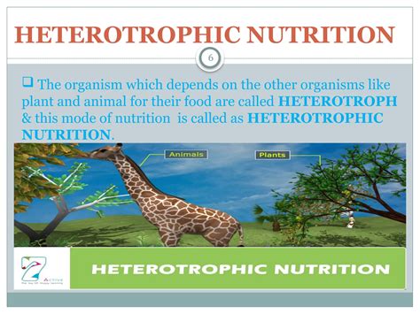 Image result for Life Process Biology