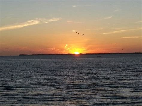 Key Colony Beach Pictures - Traveller Photos of Key Colony Beach ...