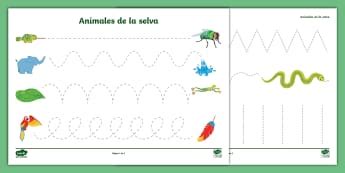 Cuentos sobre Animales | Selva | Actvidades - Twinkl