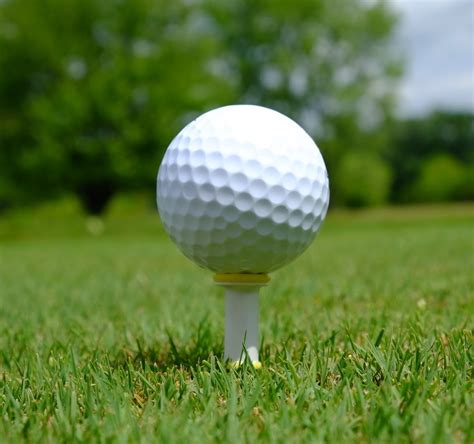 SureShot Tee reusable golf peg helps you avoid littering on the cou...