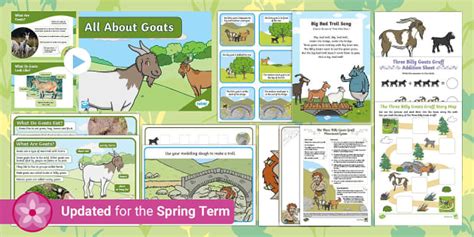 EYFS Childminder The Three Billy Goats Gruff Resource Pack