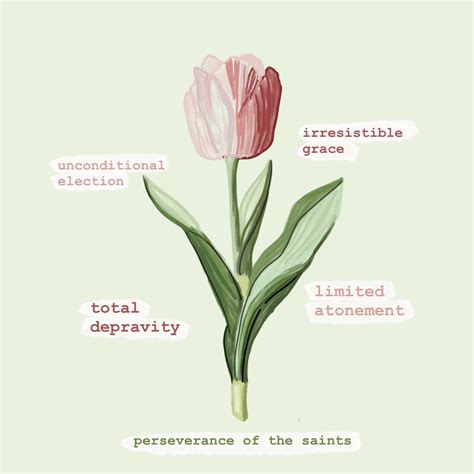 Tulip 5 points of calvinism reformed theology – Artofit