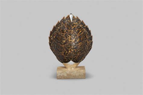 Image result for Silver Shell Turtle