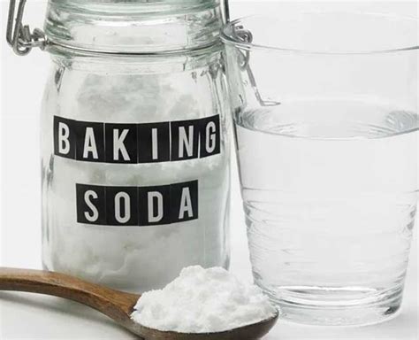 How to Get Rid of Car Flies Bugs In Hindi | how to get rid of car flies ...