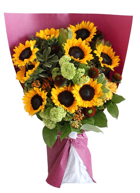Sunflower Bouquet M&S at Eve Collie blog
