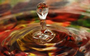 Unframed Nature Wall Poster|Water Drop Poster|Wall Poster for Office ...