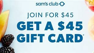 Image result for Sam's Membership $25