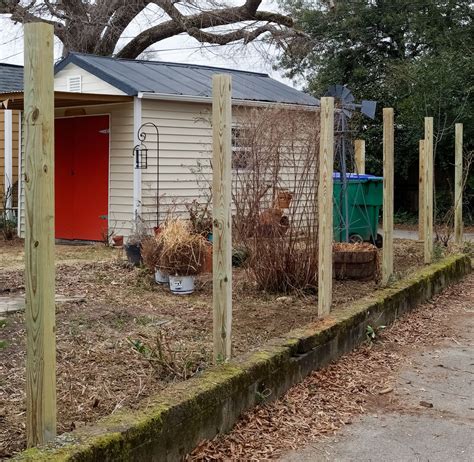 Shed Placement for Long Coastal Lots in Florida | Bestway