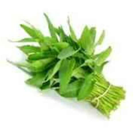 Ong Choy (Kalmi Saag) / Water Spinach (1 each) Delivery or Pickup Near ...