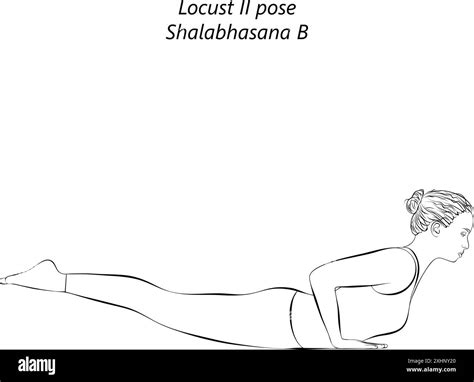 Sketch of young woman practicing Shalabhasana B yoga pose. Locust II ...
