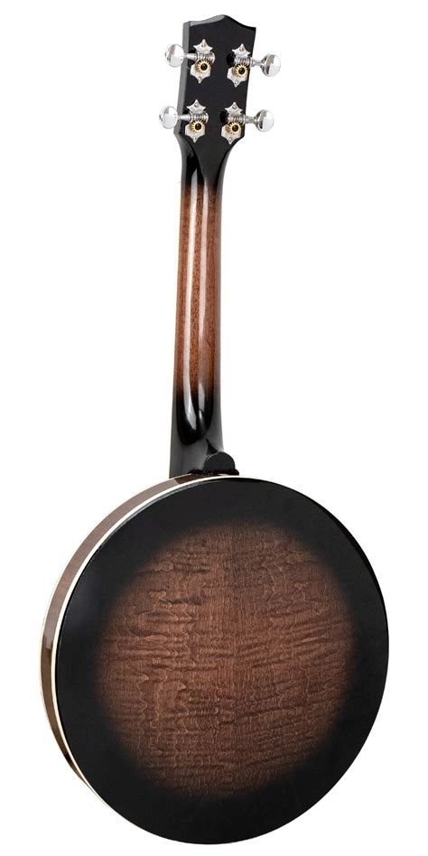 Banjolele Tutorial 的图像结果