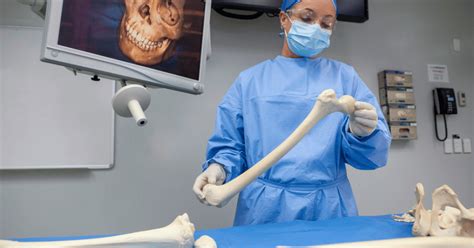 Image result for How to Program DNA