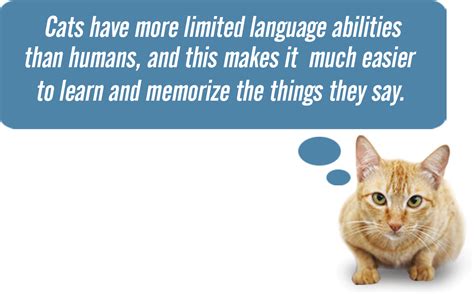 Image result for Cat Language