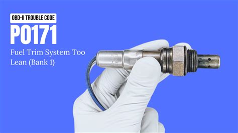 Image result for Engine Code P0171