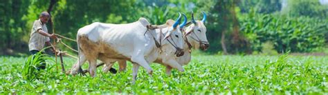 Image result for Farming Simulator 19 Mods.com