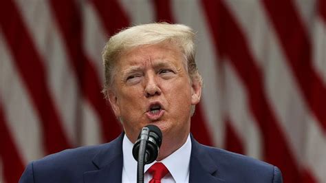 Donald Trump 'Confident' Of Presidential Victory, Says 'No Need To Warn ...