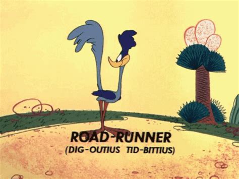 Road Runner Running Fast 的图像结果