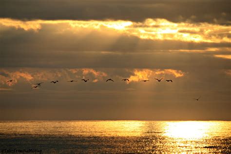 Ocean Isle Beach, NC Vacation Rentals: house rentals & more | Vrbo