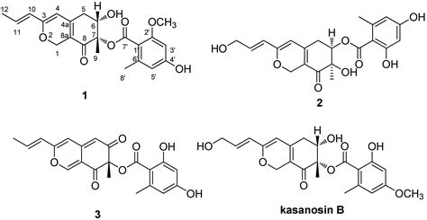 A New Azaphilone, Kasanosin C, from an Endophytic Talaromyces sp. T1BF