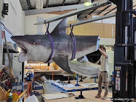 CDM:Studio on Creating Large-Scale Shark Models - BigRep