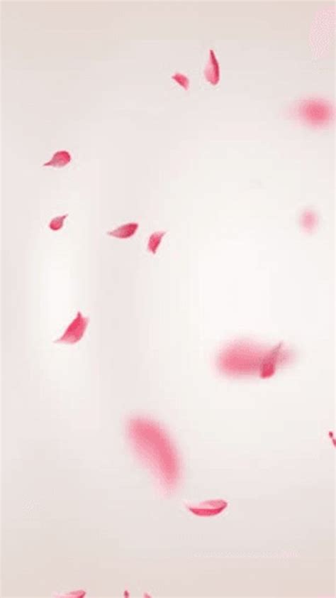 Image result for Falling Flower Animation