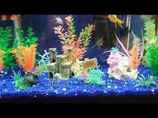 Aquarium Designs For Fish by Happy Fish At Play Freshwater Aquarium Design Ideas 10 Aquarium Designs For Fish