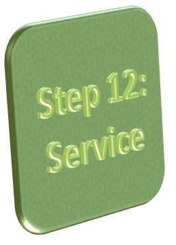 LDS 12 Step Program 的图像结果