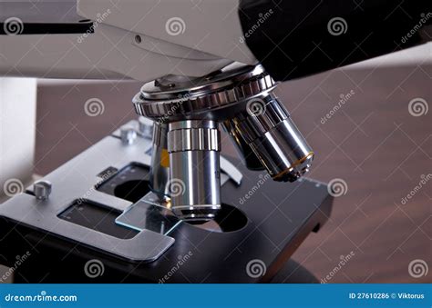 Polarizing Light Microscope 的图像结果