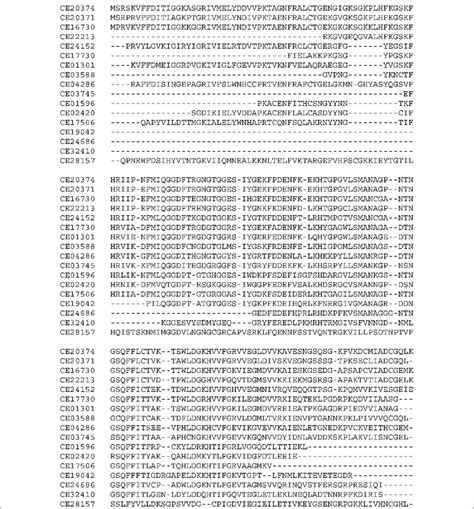 Image result for Conserved Sequence