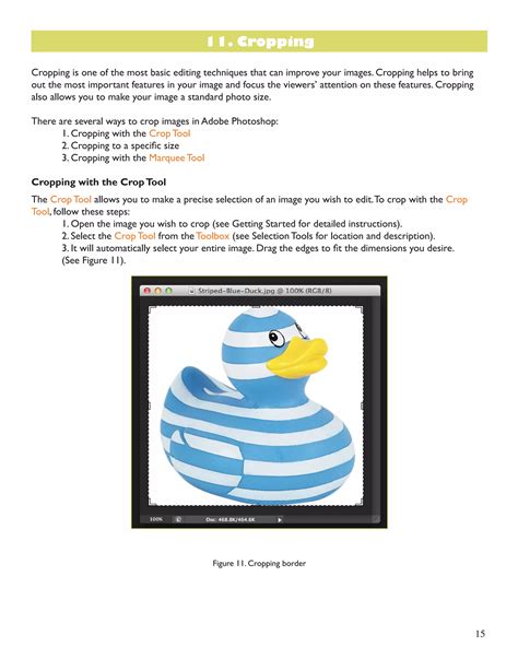 Image result for Adobe CS6 Tutorial