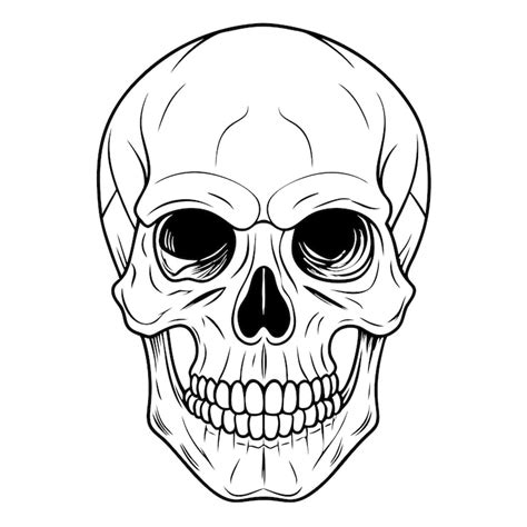 Skull outline Images - Free Download on Freepik