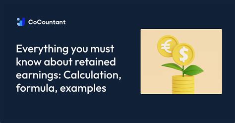 What Are Retained Earnings Guide Formula Examples