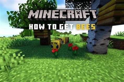 Image result for Bees Minecraft Tutorial