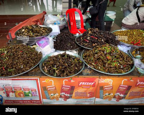 Large bowls of sauteed grasshoppers, spiders, silkworm larvae and other ...