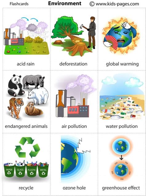 Environment Flashcard 的图像结果