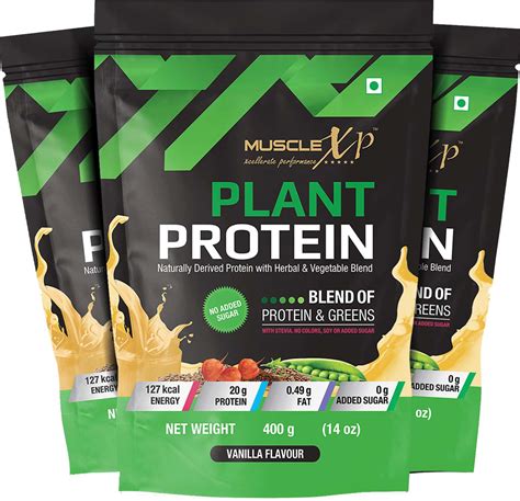 Buy MUSCLEXP PLANT PROTEIN VANILLA FLAVOUR 400GM POUCH Online & Get ...