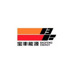 宁夏宝丰能源集团股份有限公司注册商标信息|企业个人商标信息查询-路标网
