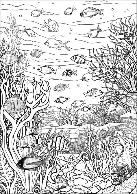Coloring Pages Ocean