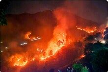 Forest Fire News in Hindi, Forest Fire Latest News, Forest Fire News