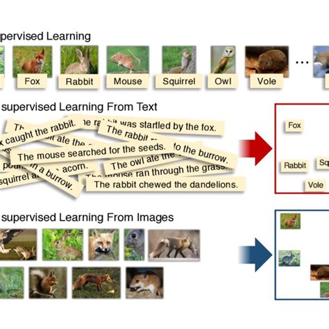 Alphago Reinforcement Learning 的图像结果