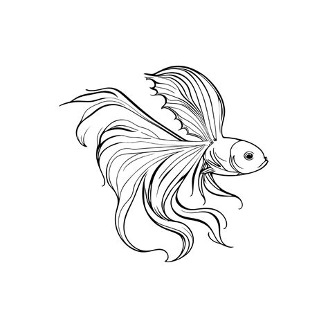 Koi Fish Outline Template