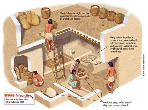 Neolithic Revolution 的图像结果