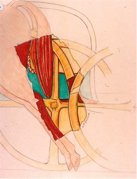 The Earliest Images of Horse and Chariot Battle in Egypt, Salmagundi ...