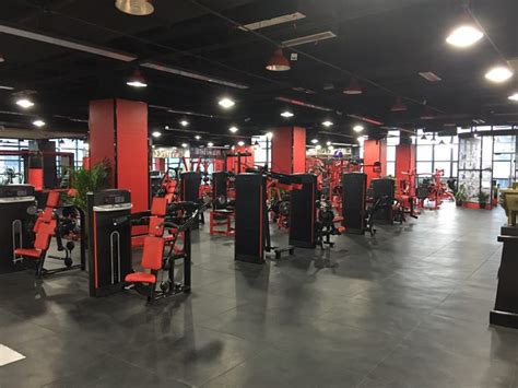Gallery - Shandong Realleader Fitness Co., Ltd.