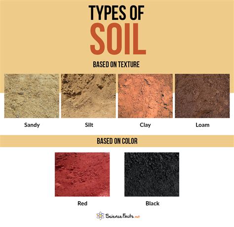 Soil Type Classification 的图像结果
