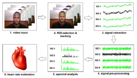 Image result for New Process Implementation
