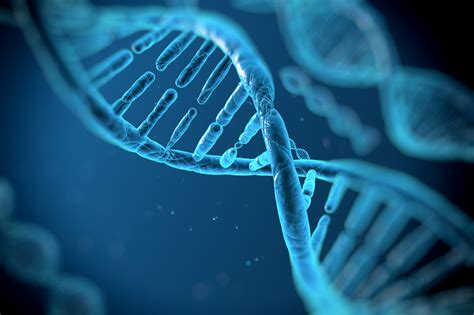 ① 解旋 复制开始时， DNA 分子首先利用细胞提供的能量，在解旋酶等的作用下，把两条螺旋的双链解开，这个过程称为解旋。