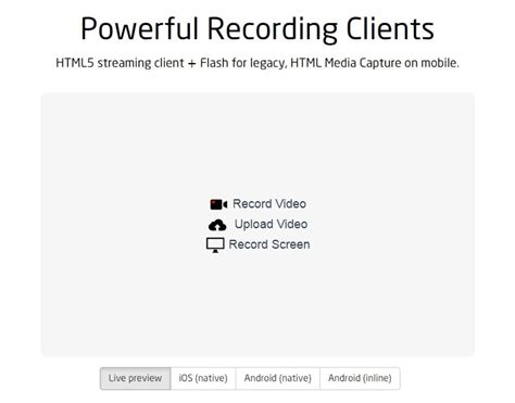 Image result for Screen Recorder HTML