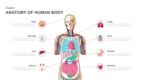 Left Side 的图像结果